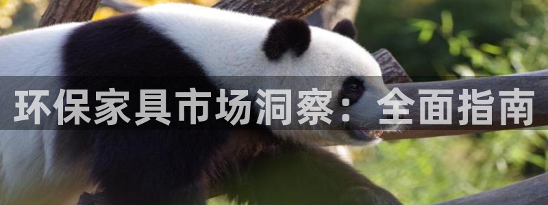 杏耀平台是真的吗