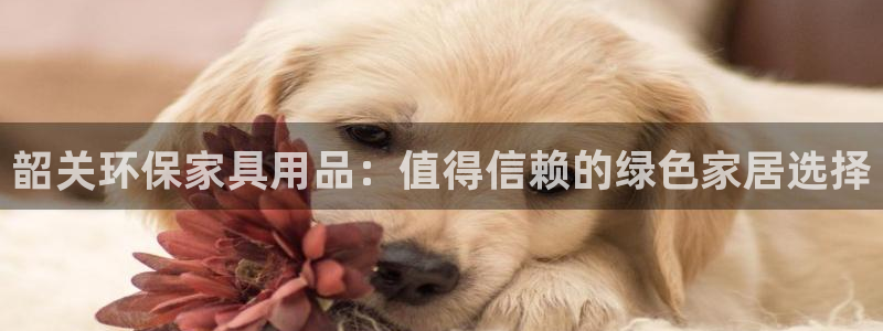 杏耀平台是真的吗