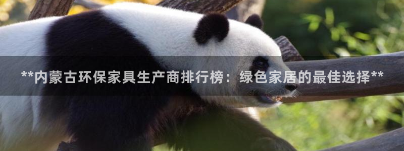杏耀总代