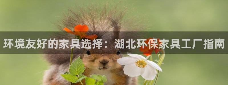 杏耀测速网址电脑版