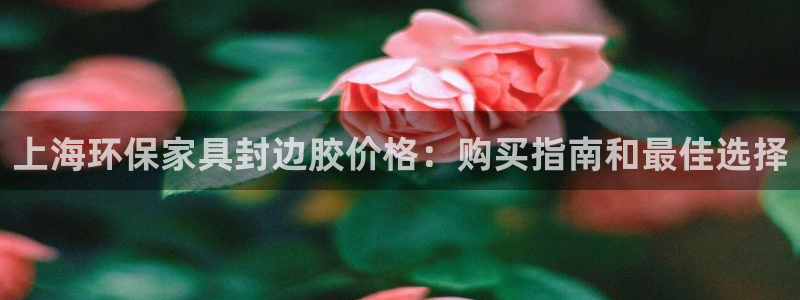 杏耀平台注册会员：上海环保家具封边胶价格：购买指南和最佳选择