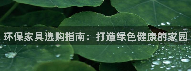 杏耀平台注册问一问：环保家具选购指南：打造绿色健康的家园