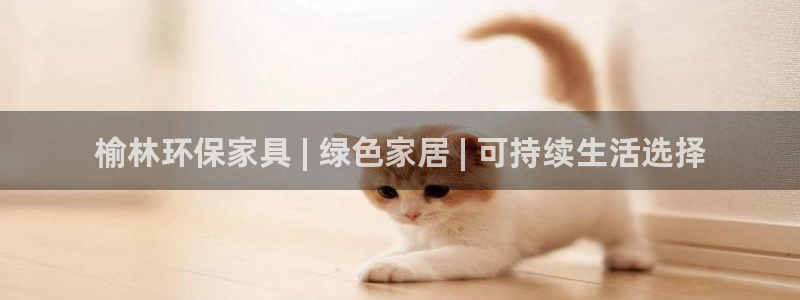 杏耀测速娱乐：榆林环保家具 | 绿色家居 | 可持续生活选择