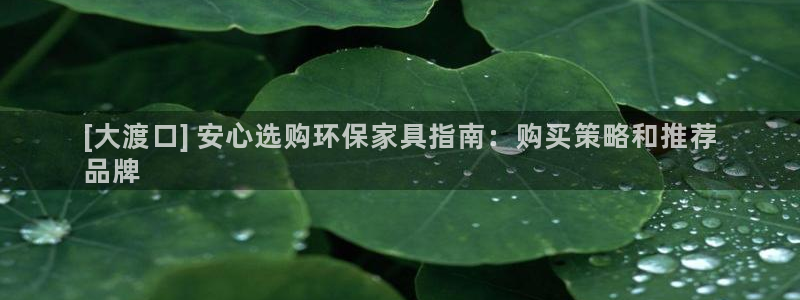 杏耀平台在线注册：[大渡口] 安心选购环保家具指南：购买策略