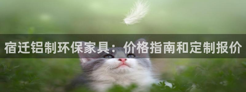 杏耀平台娱乐：宿迁铝制环保家具：价格指南和定制报价
