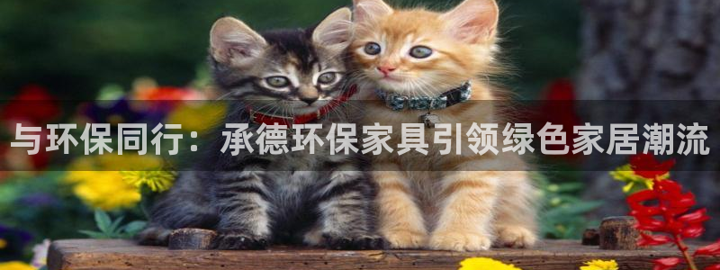 杏耀平台手机app