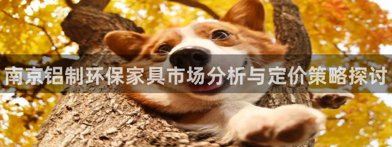 杏耀主管qq：南京铝制环保家具市场分析与定价策略探讨