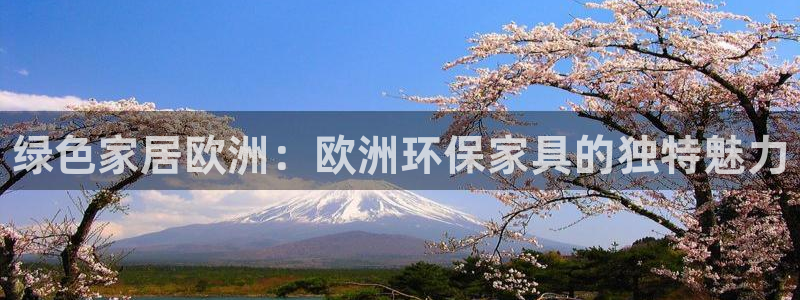 杏耀平台网站是什么：绿色家居欧洲：欧洲环保家具的独特魅力