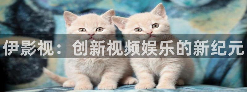 8840首播影院：伊影视：创新视频娱乐的新纪元
