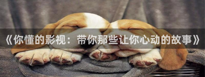 首播影院免费：《你懂的影视：带你那些让你心动的故事》