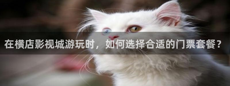 首播影院入口：在横店影视城游玩时，如何选择合适的门票套餐？