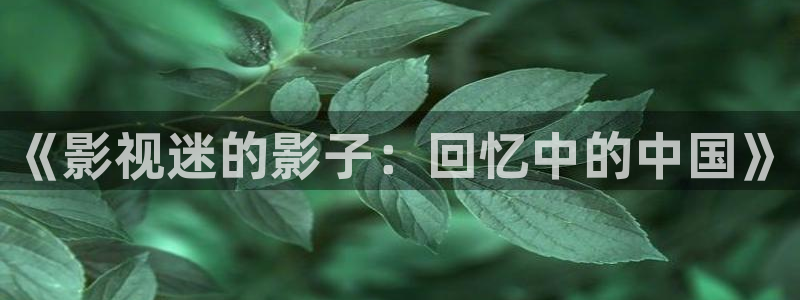 4480首播影院在线播放：《影视迷的影子：回忆中的中国》