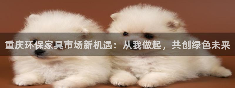 杏耀测速注册：重庆环保家具市场新机遇：从我做起，共创绿色未来