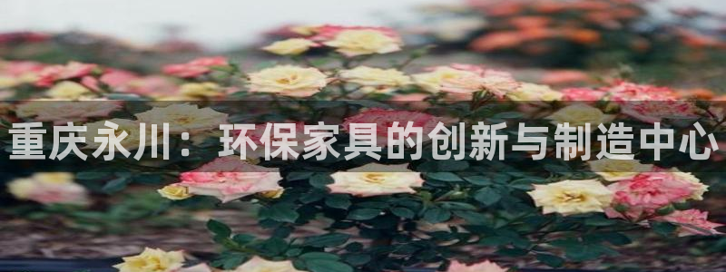 杏耀注册链接：重庆永川：环保家具的创新与制造中心