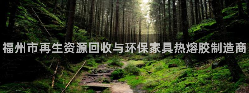 杏耀平台官方登陆：福州市再生资源回收与环保家具热熔胶制造商