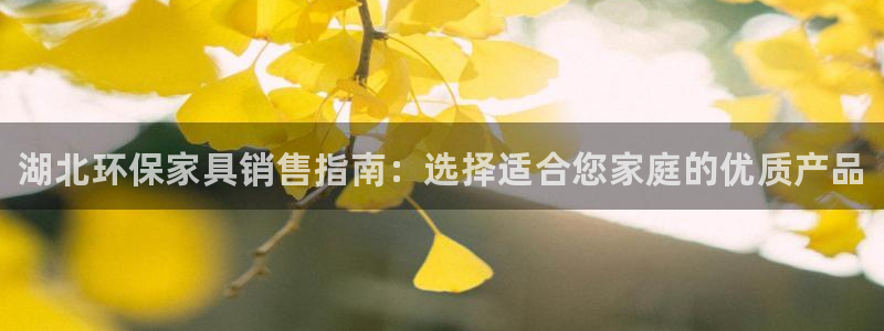 杏耀平台登录：湖北环保家具销售指南：选择适合您家庭的优质产品