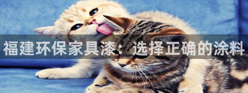 杏耀注册登陆：福建环保家具漆：选择正确的涂料